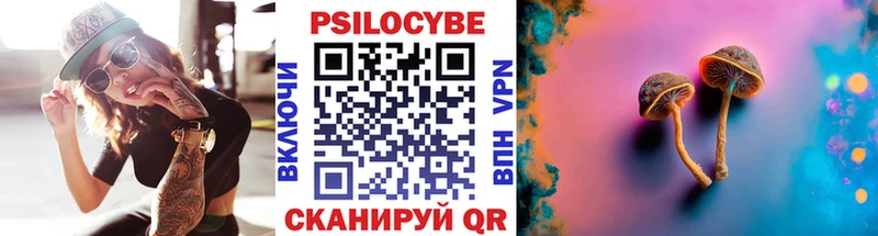 Псилоцибиновые грибы мицелий  Купить  Сунжа 