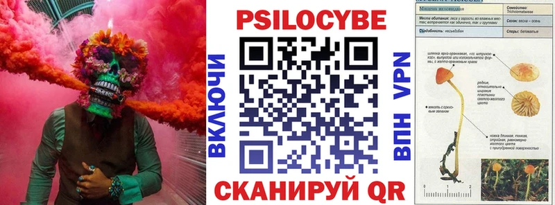 Галлюциногенные грибы Psilocybe Сунжа
